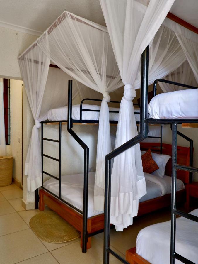 Lost In Africa Arusha Ngoại thất bức ảnh